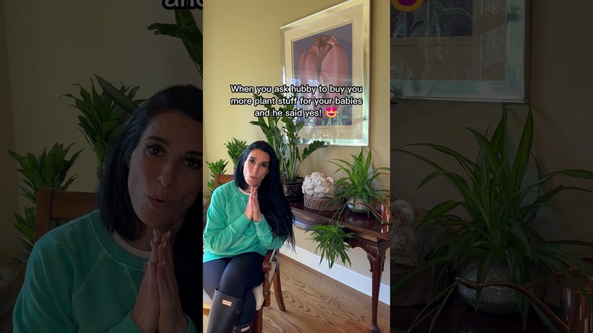 #howto ask your husband to get you more #garden stuff!