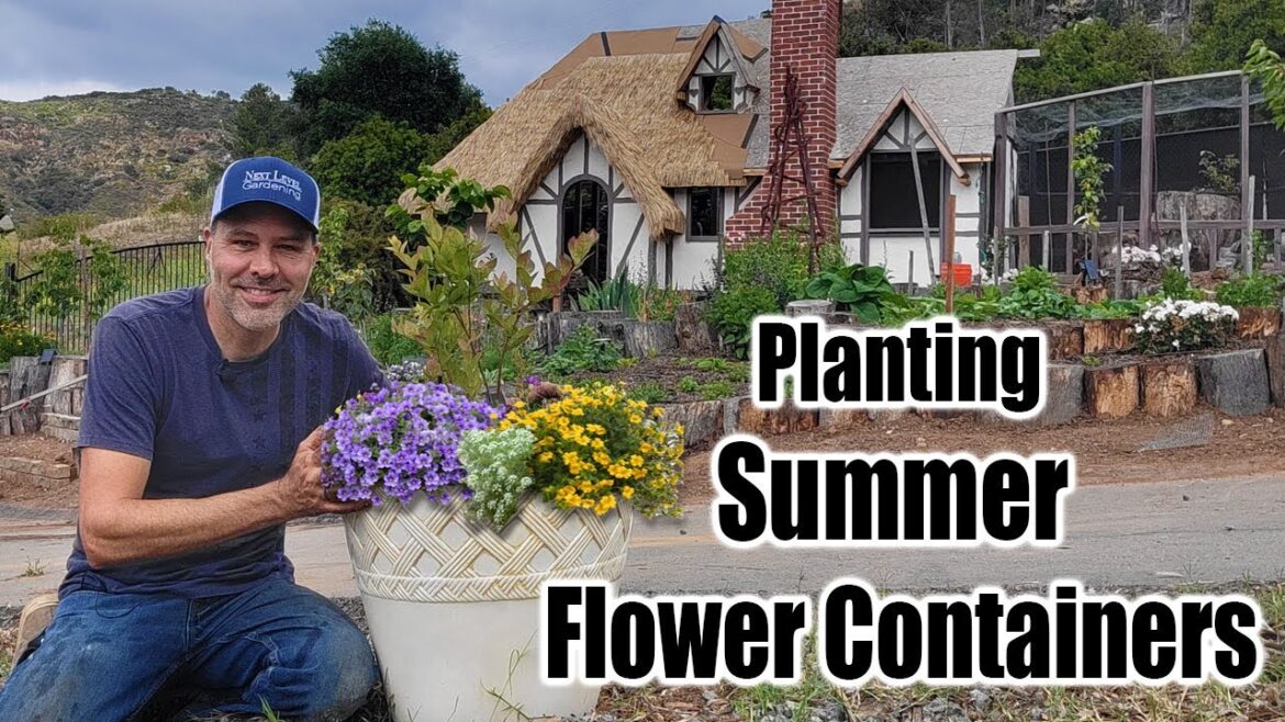 California Garden TV: Planting Summer Flowers in Containers Planting Summer Flowers in Containers