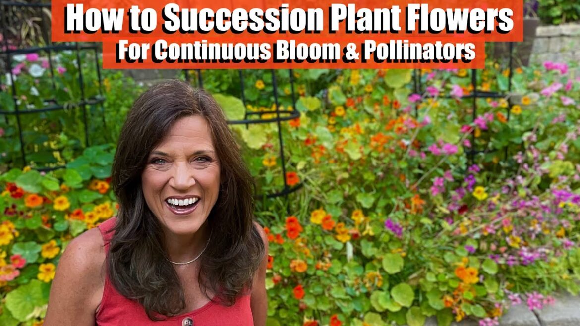 Succession Planting Flowers in Your Vegetable Garden for Continuous Bloom & to Bring in Pollinators