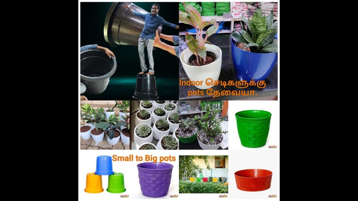 Garden Pot tips for indoor and outdoor plants ...cheapest rate with colourful flower pot collection