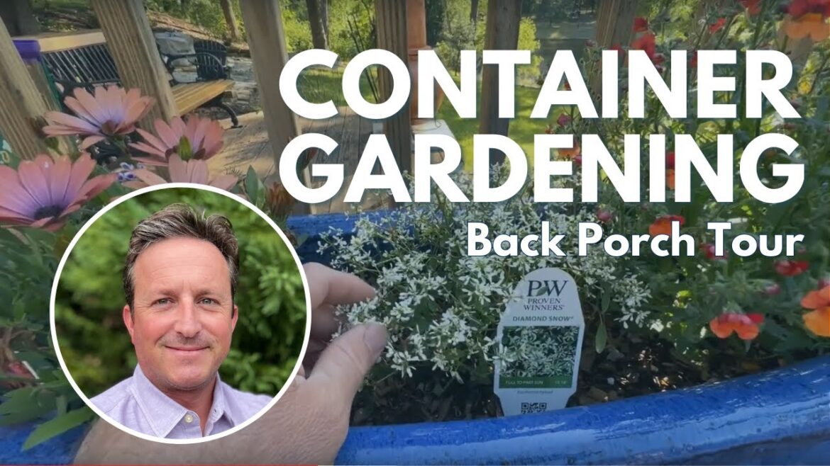 Container Gardening at Home with Proven Winners! ๐บ Back Porch Tour UPDATE #containergardening Container Gardening at Home with Proven Winners! ๐บ Back Porch Tour UPDATE #containergardening