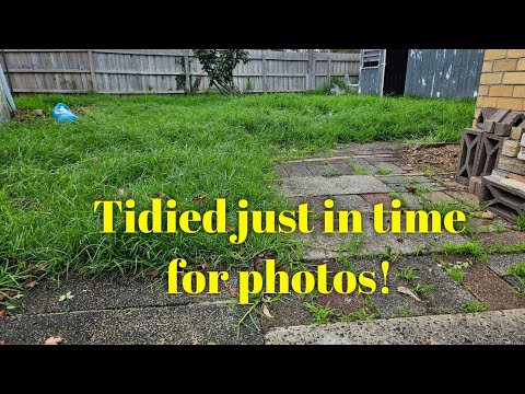 Front and backyard mowed & edges reclaimed. Satisfying makeover for new tenants. Front and backyard mowed & edges reclaimed. Satisfying makeover for new tenants.