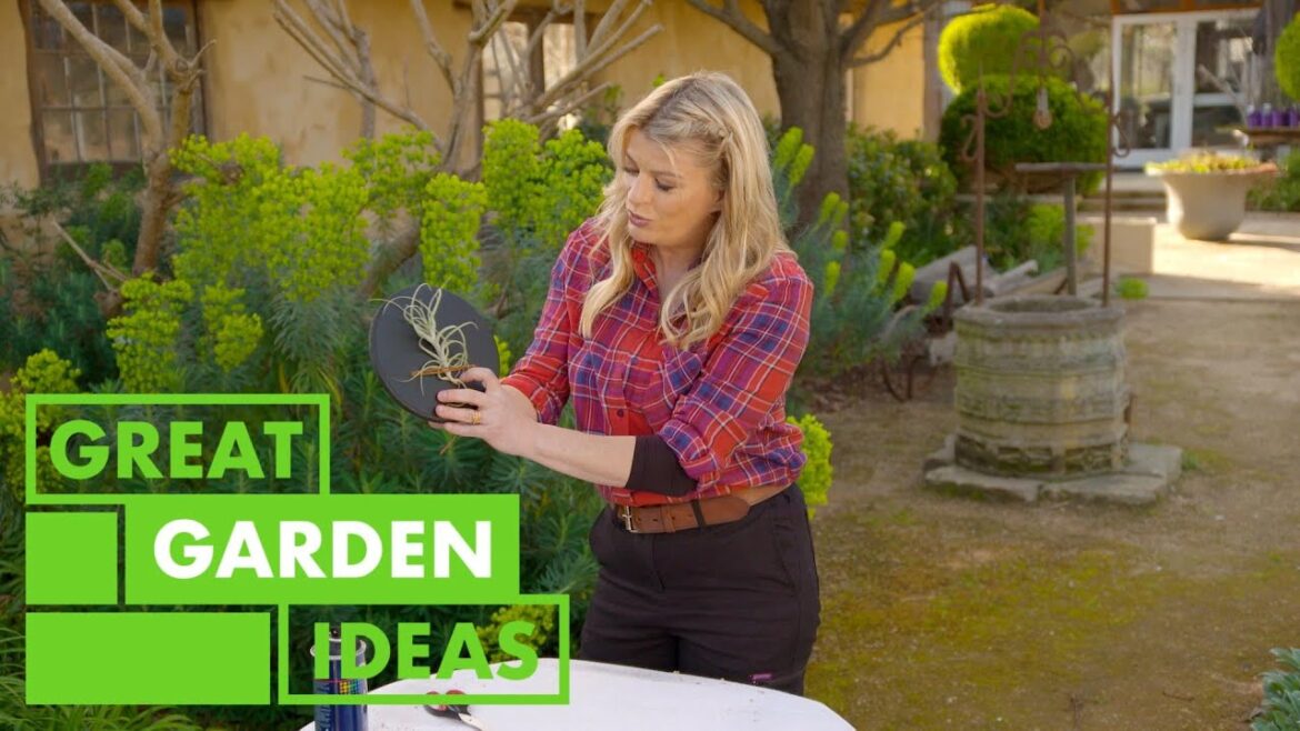 Simple Garden Hints and Tips | GARDEN | Great Home Ideas