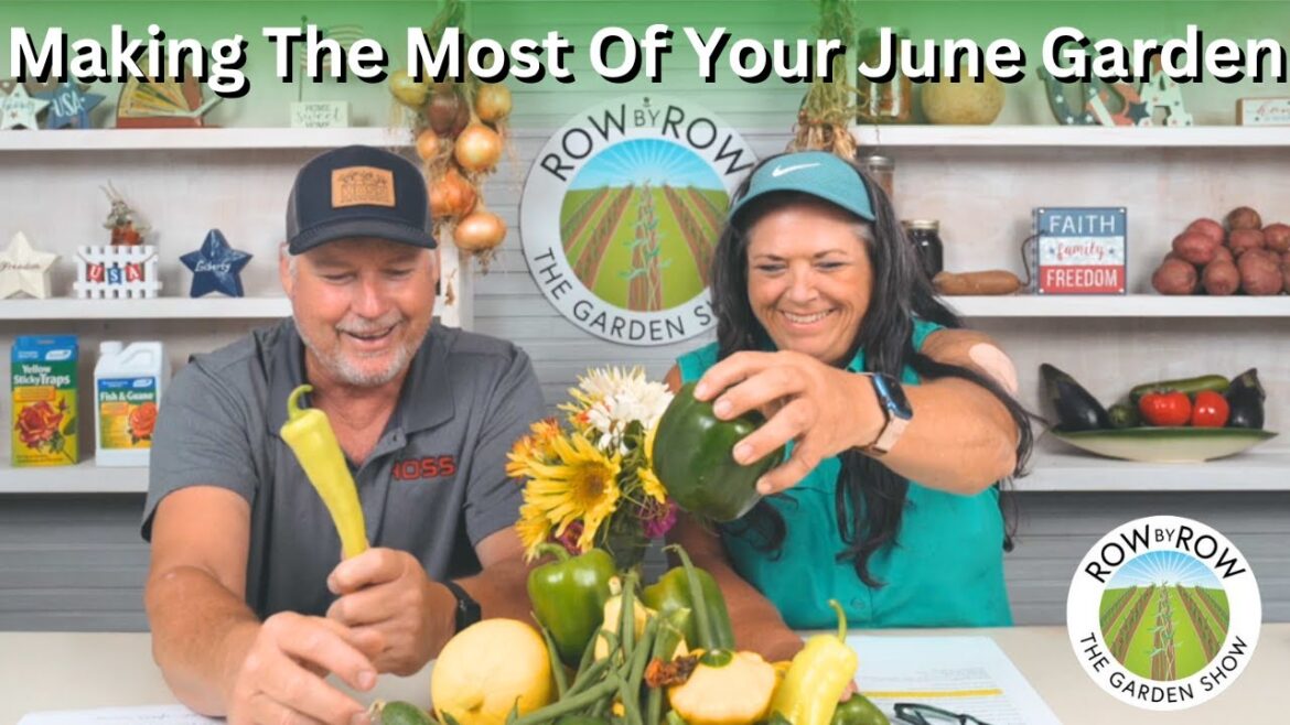 What Should You Be Doing Now? | Gardening In June What Should You Be Doing Now? | Gardening In June