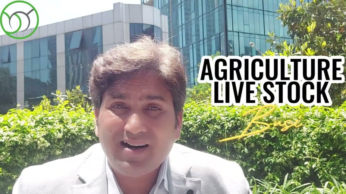 WANT TO START ABUSINESS IN TURKEY? 2023 TOP Business in Turkey for Foreigners| Best Business Ideas WANT TO START ABUSINESS IN TURKEY? 2023 TOP Business in Turkey for Foreigners| Best Business Ideas