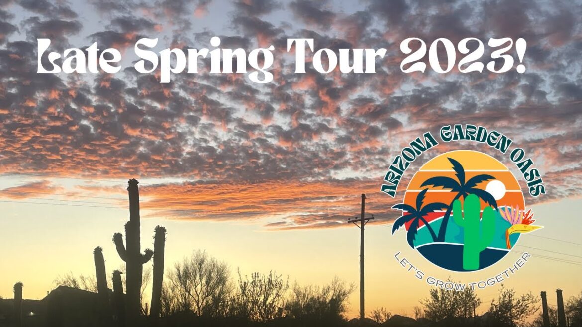 Late Spring Garden Tour (2023-06-01) - Arizona Garden Oasis