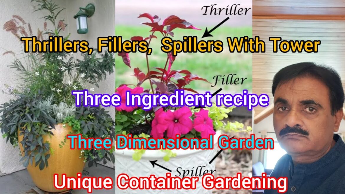 Thrillers Fillers & Spillers Technique Of Container Gardening. Three Dimensional Plant Arrangement. Thrillers Fillers & Spillers Technique Of Container Gardening. Three Dimensional Plant Arrangement.