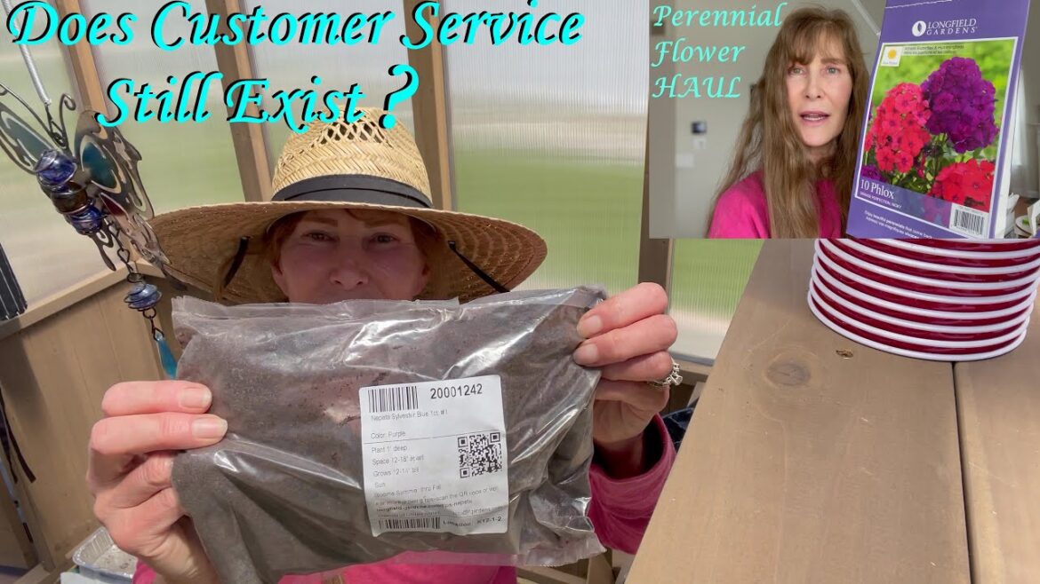 Update on our COSTCO Perennial Bare Root Plants from Longfield Gardens Update on our COSTCO Perennial Bare Root Plants from Longfield Gardens