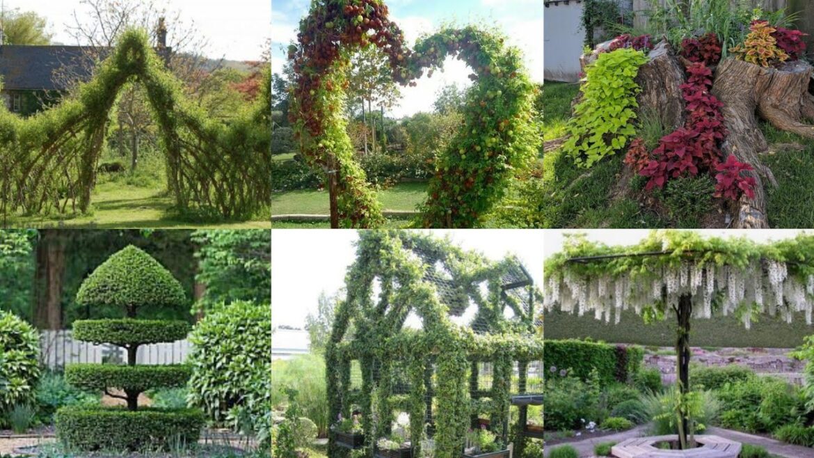 most beautiful garden landscaping team ulp gardens design modern garden ideas front yard candsaping