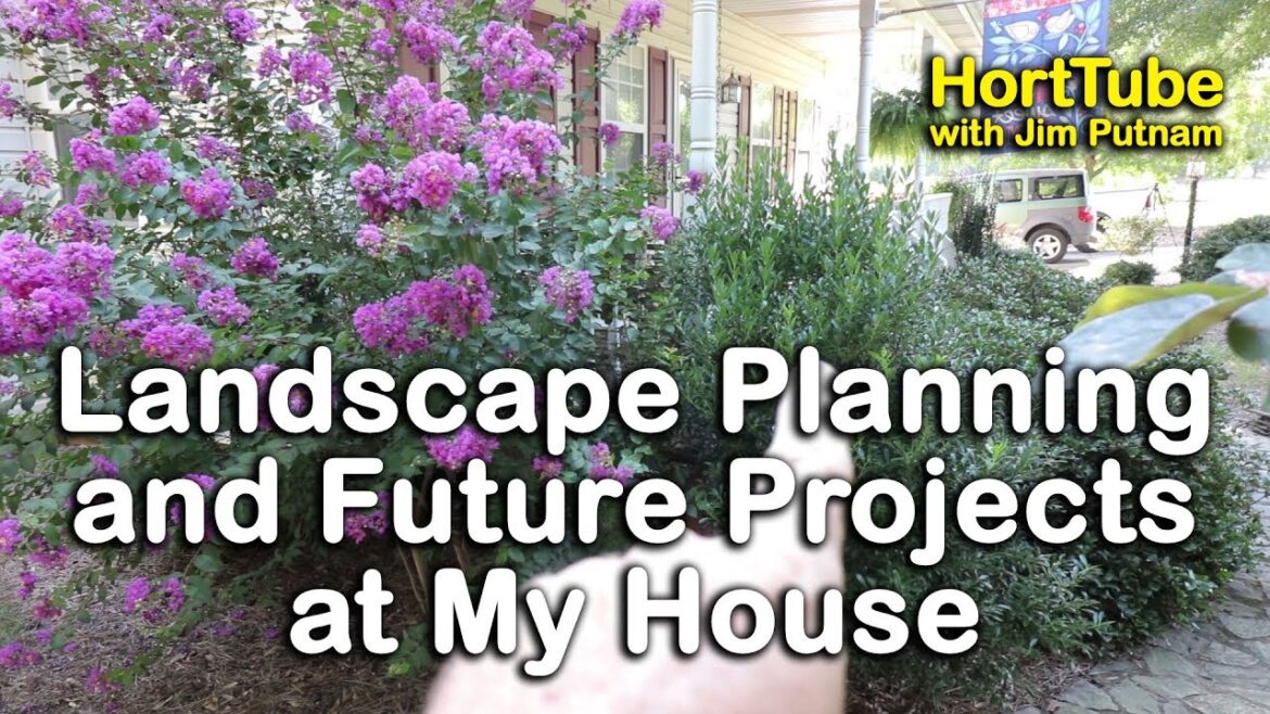 Planning for Future Landscaping in My Yard - Garden Tour - Upcoming Installation Projects