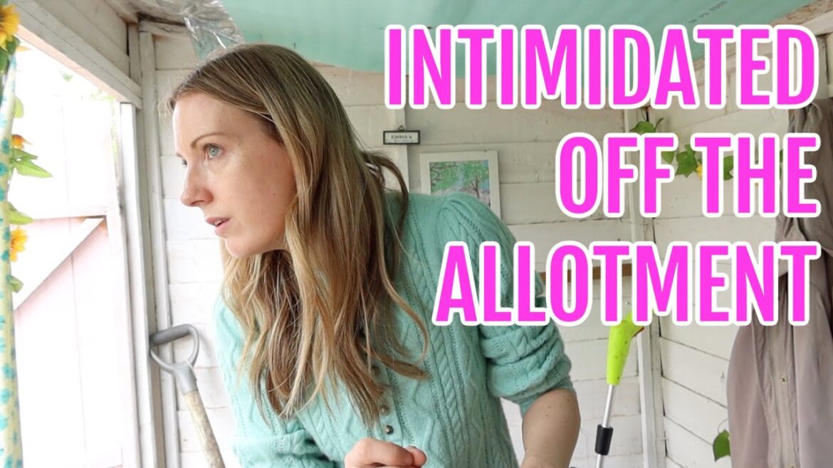 INTIMIDATED OFF THE ALLOTMENT PLOT / ALLOTMENT GARDENING FOR BEGINNERS INTIMIDATED OFF THE ALLOTMENT PLOT / ALLOTMENT GARDENING FOR BEGINNERS