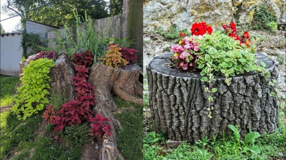 TOP 50 BEST GARDEN DESIGNER IDEAS OF WOODEN GARDEN PLANTS DECORATIONS/WOODEN PROJECTS