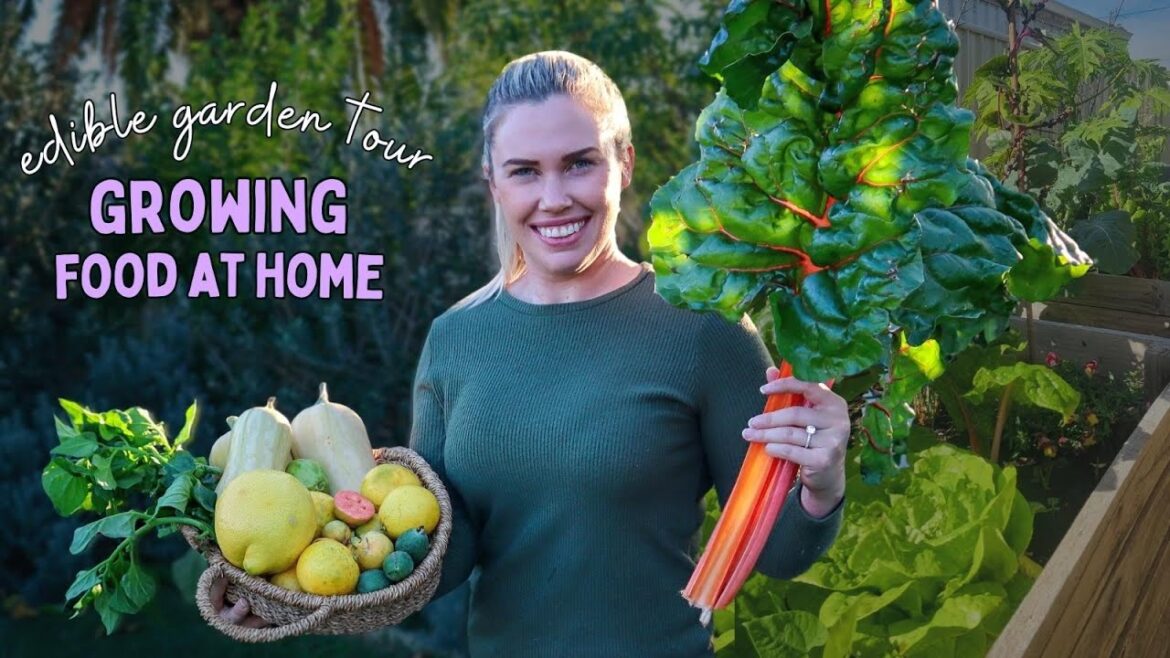 Explore Productive Edible Gardens in the Suburbs | full garden tour & harvest | urban permaculture Explore Productive Edible Gardens in the Suburbs | full garden tour & harvest | urban permaculture