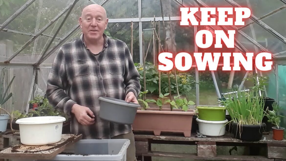 Keep On Sowing [Gardening Allotment UK] [Grow Vegetables At Home ]