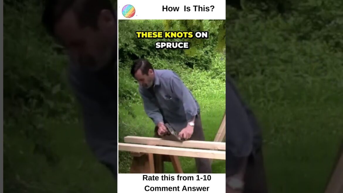 Uncovering the Truth About Workbenches: Why Ordinary Woods Are Just as Good #shorts Uncovering the Truth About Workbenches: Why Ordinary Woods Are Just as Good #shorts
