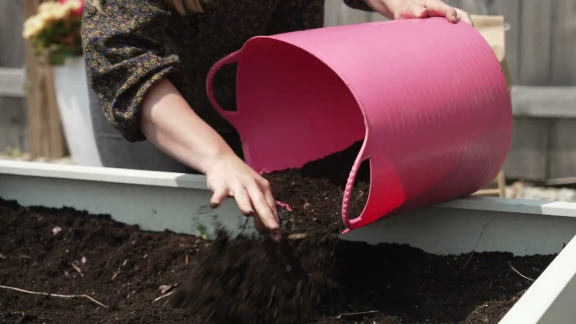 Reboot Your Raised Bed Soil