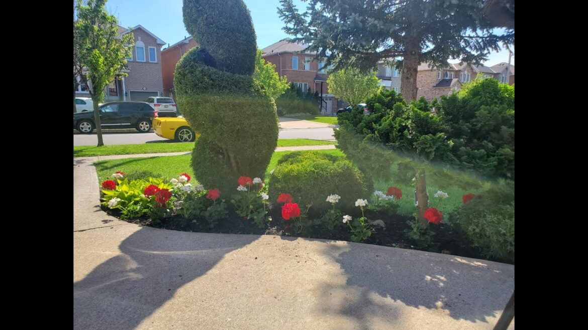 Transform your yard into a beautiful summer landscape! Transform your yard into a beautiful summer landscape!