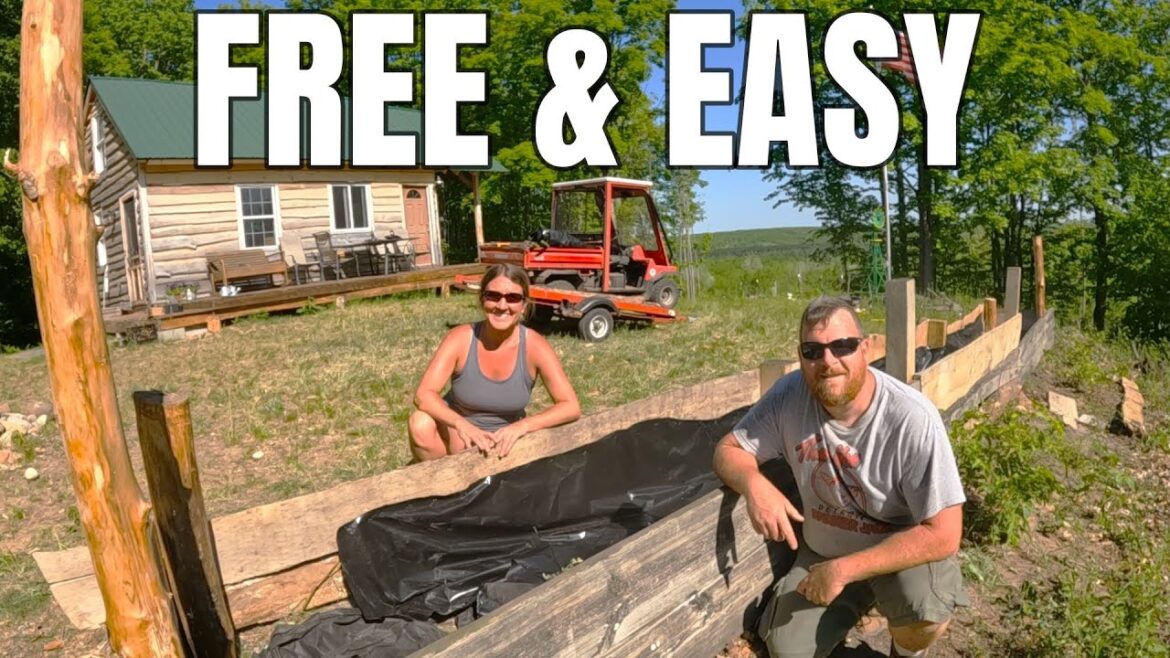 DIY Raised Garden Beds- FOR FREE!  #stringlightinbackyard #backyardstringlighting