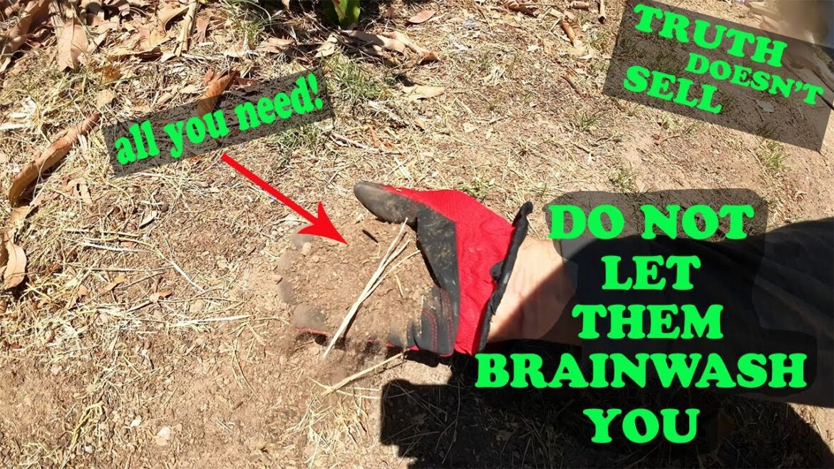 The BIGGEST Gardening Myth: Soil Amendments The BIGGEST Gardening Myth: Soil Amendments