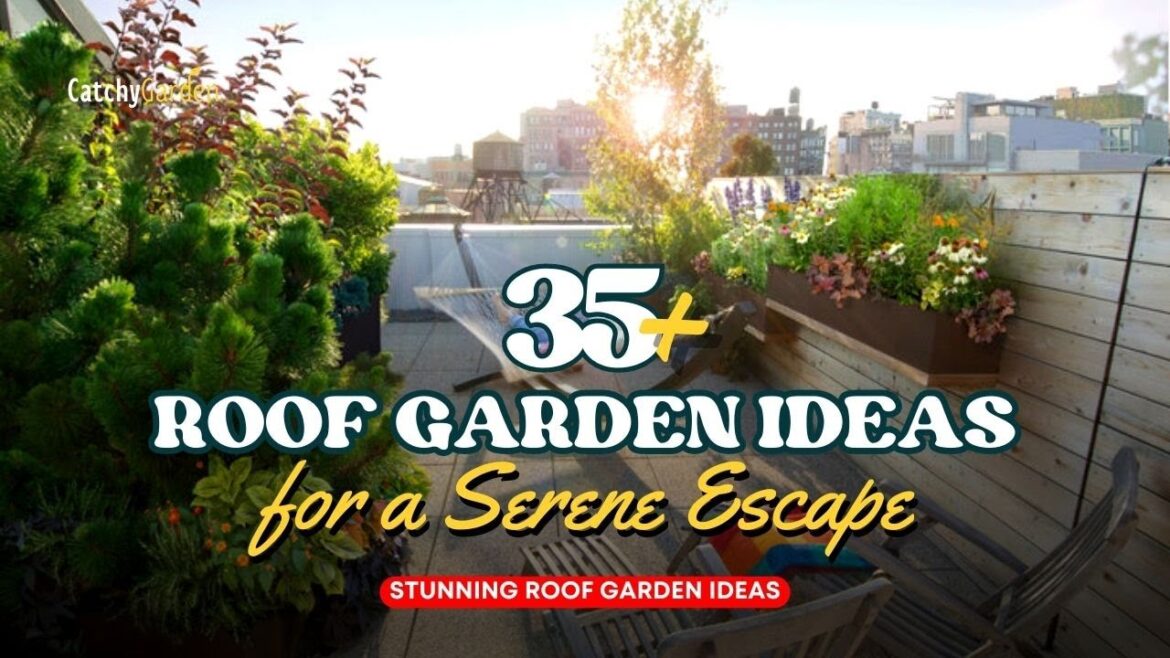 35+ Stunning Roof Garden Ideas for a Serene Escape // Revamp Your Rooftop π²πΈπ΅ 35+ Stunning Roof Garden Ideas for a Serene Escape // Revamp Your Rooftop π²πΈπ΅