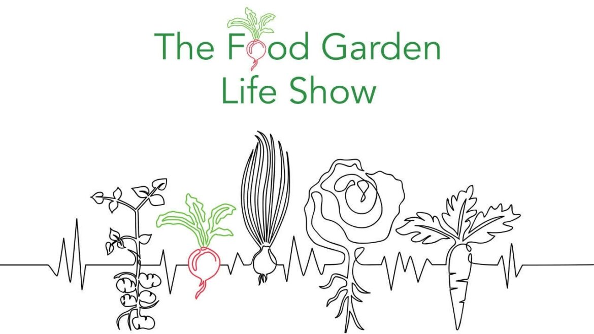 Edible Garden Question and Answer (and what to do about Bolting Lettuce)