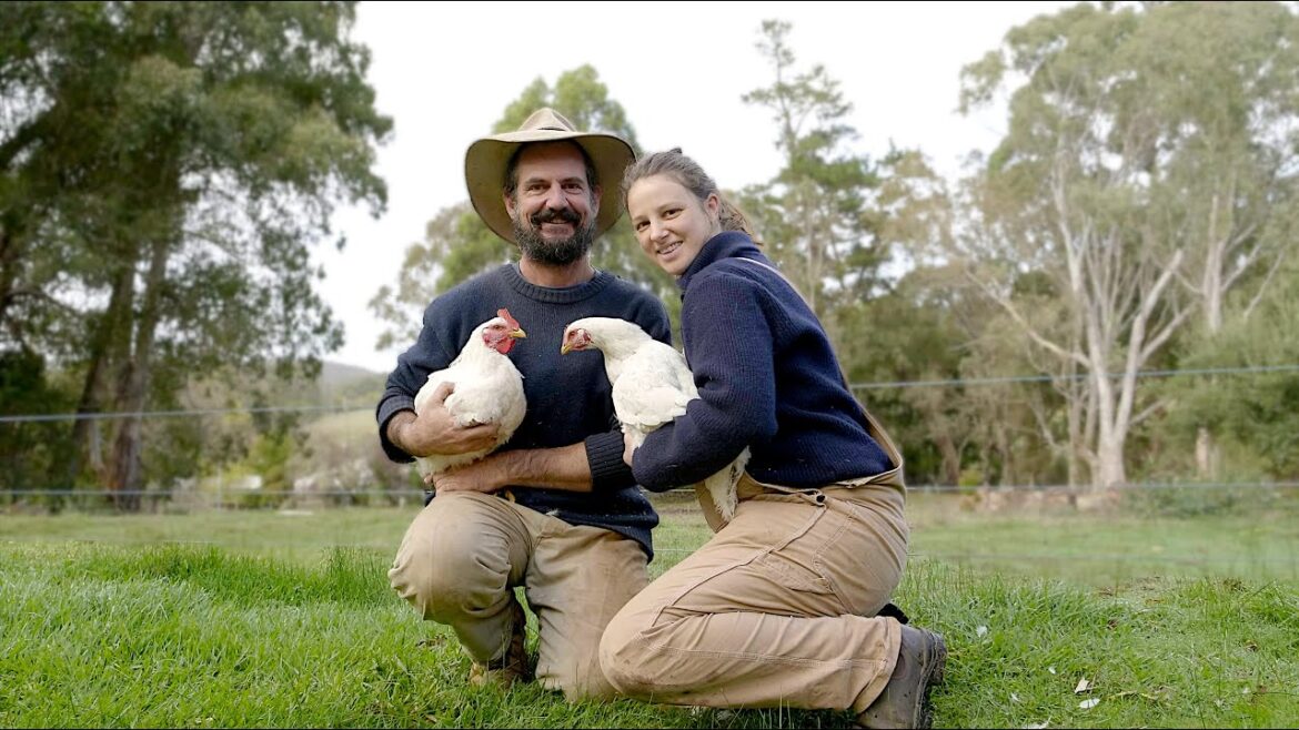 How to Raise a Year’s Supply of Chicken – Free Range Homestead Ep 41 How to Raise a Year's Supply of Chicken - Free Range Homestead Ep 41