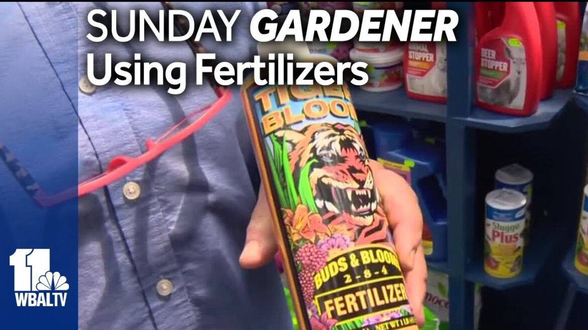 Sunday Gardener: Tips on using fertilizers to improve plants