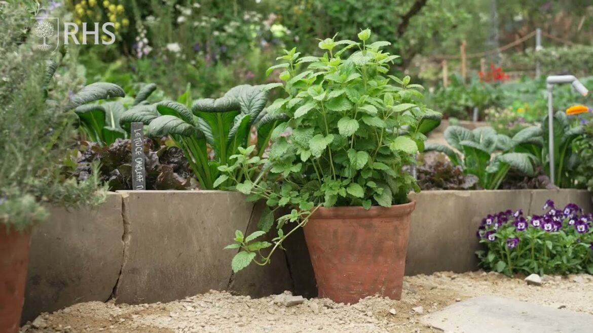 How to mix edible and ornamental plants in your garden | Take Home Chelsea