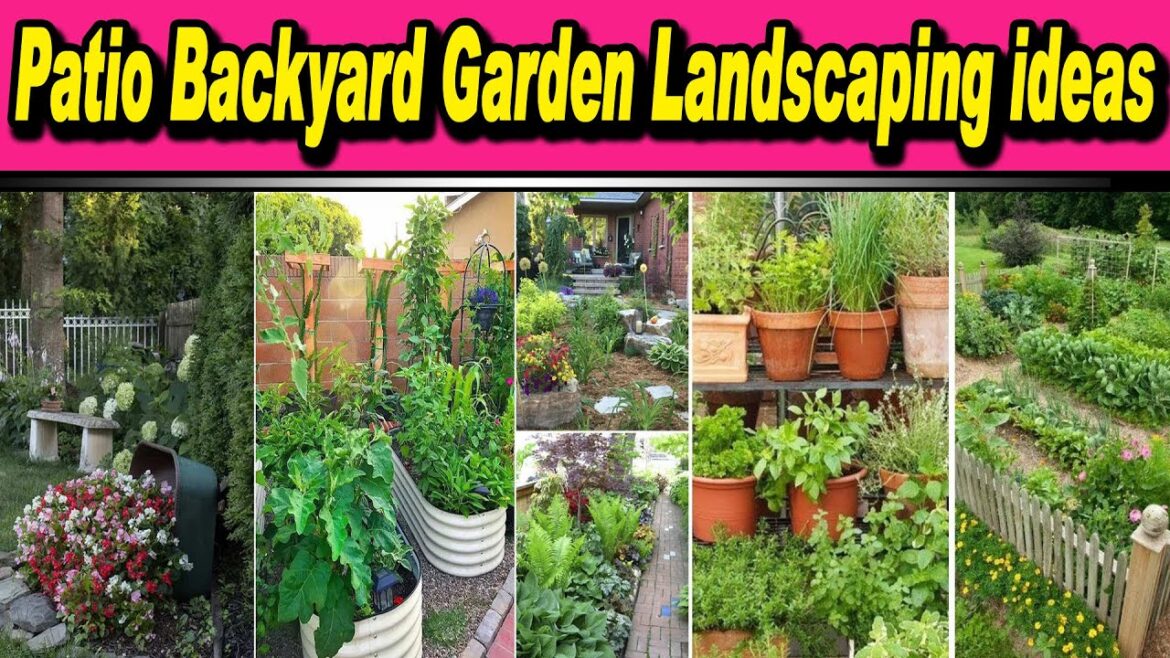 Patio Design Ideas Backyard Garden Landscaping ideas || House Exterior Rooftop Pergola