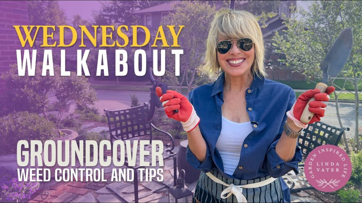 Gardening Tips: Ground Covers and Weed Control! Gardening Tips: Ground Covers and Weed Control!