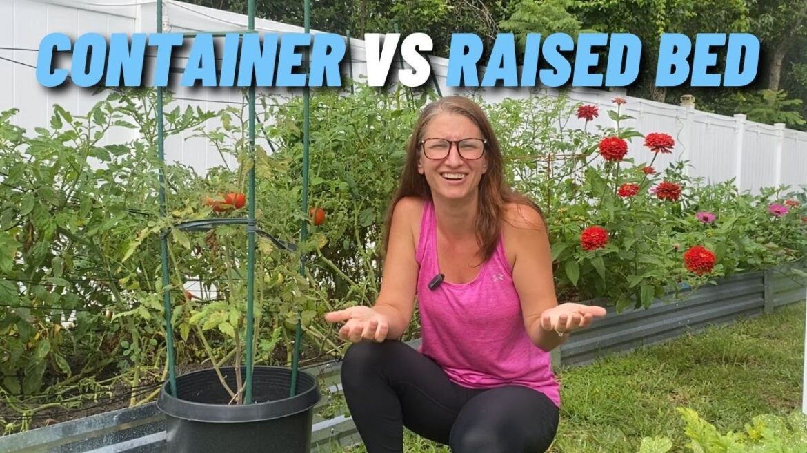 FACE OFF! Container Gardening VS Raised Beds – Which is Better? FACE OFF! Container Gardening VS Raised Beds - Which is Better?