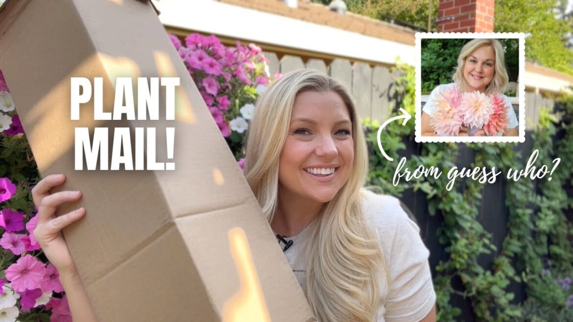 Plant Swap with Steph from @HookedandRooted ! :: Zone 9B Container Gardening
