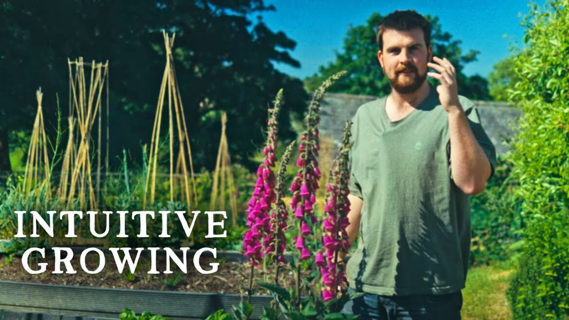 June Tour Around My Freestyle Homestead Kitchen Garden | Huw's Garden Diaries
