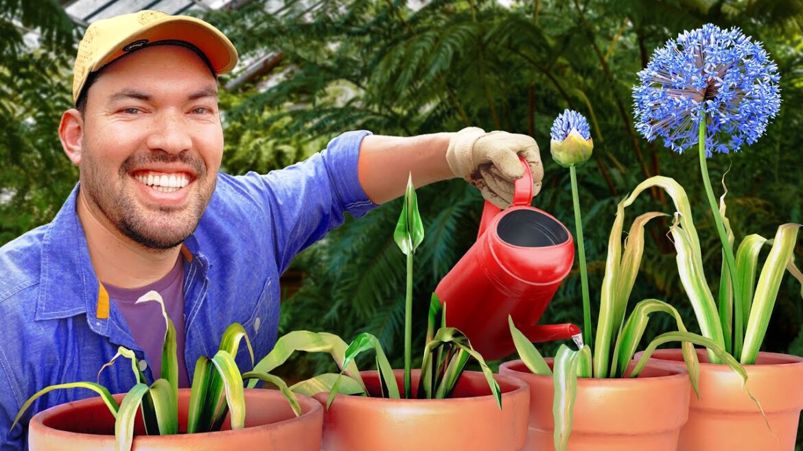 The Secret Behind Epic Gardening's YouTube Empire