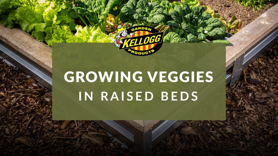 Easy Vegetable Gardening in Small Spaces: Top Crops to Grow in Raised Beds Easy Vegetable Gardening in Small Spaces: Top Crops to Grow in Raised Beds