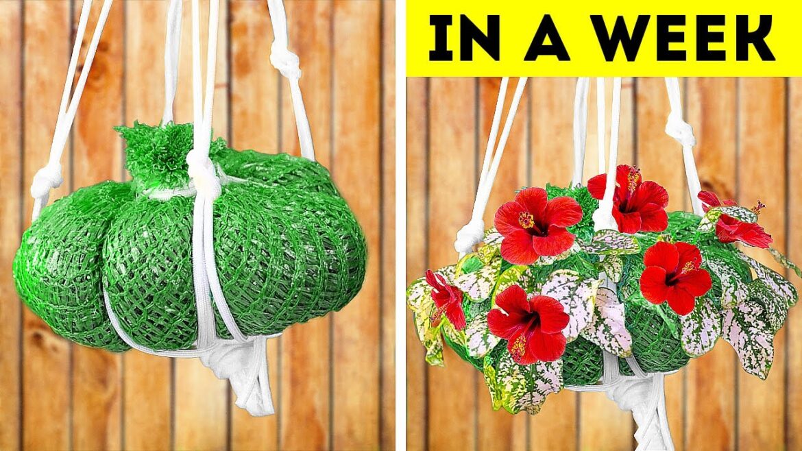 Fantastic Gardening Hacks! Simple Tips for a Thriving Garden Fantastic Gardening Hacks! Simple Tips for a Thriving Garden