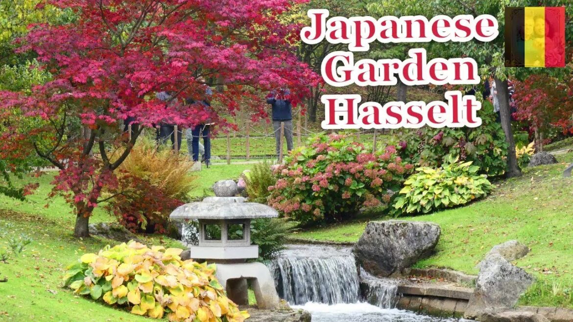 “LARGEST JAPANESE GARDEN IN EUROPE” // AUTUMN 2020 PART 3 // HASSELT LIMBURG BELGIUM // ELLA’SLIFE "LARGEST JAPANESE GARDEN IN EUROPE" // AUTUMN 2020 PART 3 // HASSELT LIMBURG BELGIUM // ELLA'SLIFE