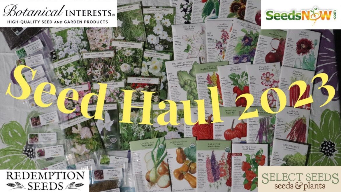 Seed Haul 2023 // Gardening at the Simongetti North Seed Haul 2023 // Gardening at the Simongetti North