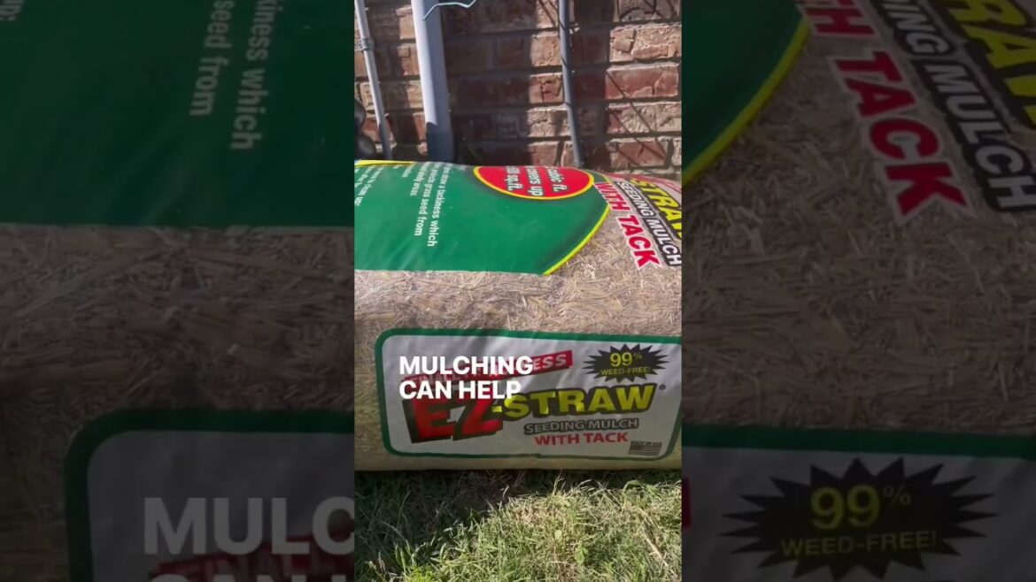 3 quick gardening tips