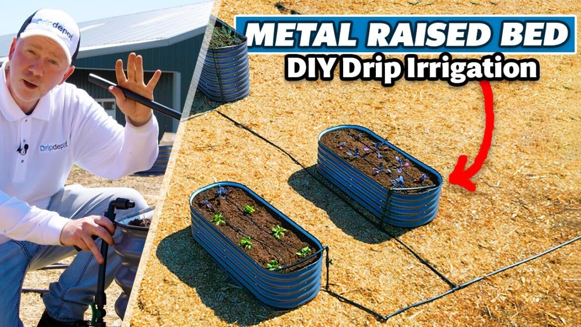 How to Install a Metal Raised Bed Home Garden with a Drip Irrigation System (Complete DIY Guide) How to Install a Metal Raised Bed Home Garden with a Drip Irrigation System (Complete DIY Guide)