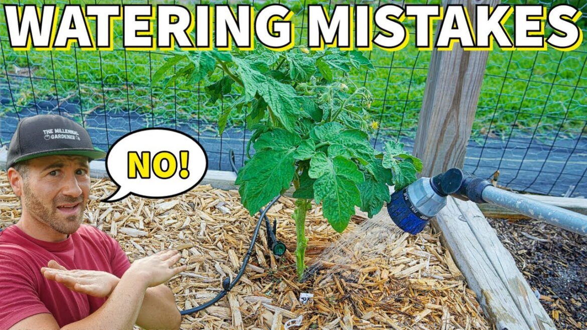 This Common Watering Mistake Is DESTROYING Your Garden! This Common Watering Mistake Is DESTROYING Your Garden!