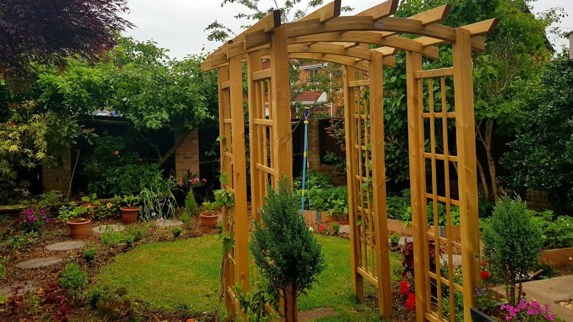 Garden in June ~Tour of my small urban backyard garden UK full of veggies, flowers and fruit trees Garden in June ~Tour of my small urban backyard garden UK full of veggies, flowers and fruit trees