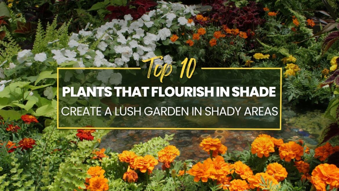 10 Plants That Flourish in Shade | Create a Lush Garden in Shady Areas 😍