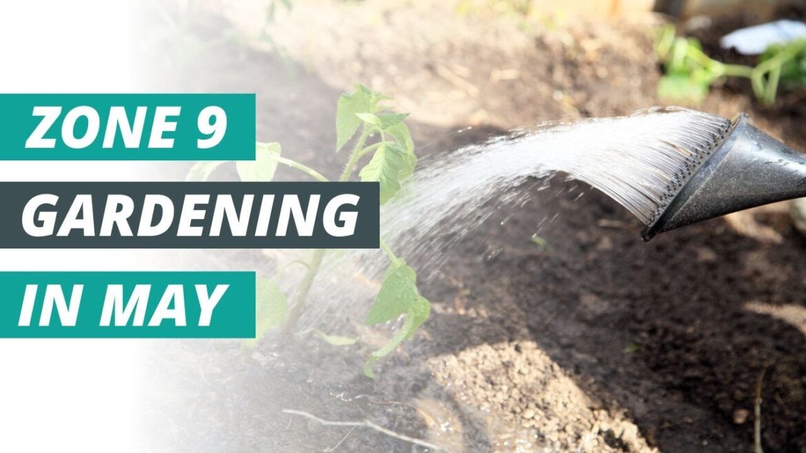 May gardening tips & tasks for zone 9 gardeners! May gardening tips & tasks for zone 9 gardeners!