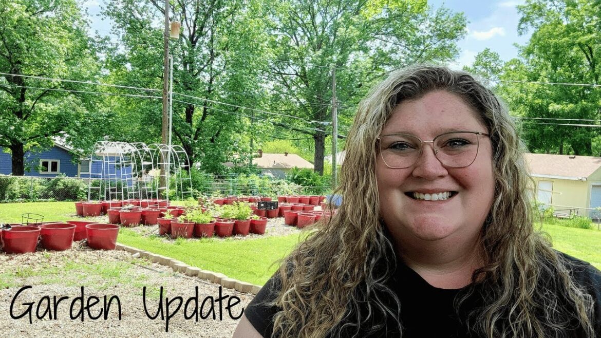 Container Garden Update 5.24.23