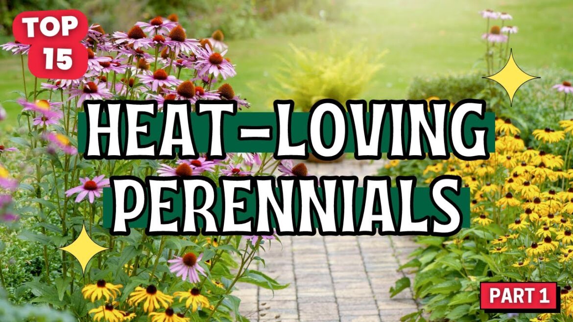 Thriving Not Just Surviving: 15 Heat-Loving Perennials for a Sun Kissed Garden 🌞🌺 // Part 1
