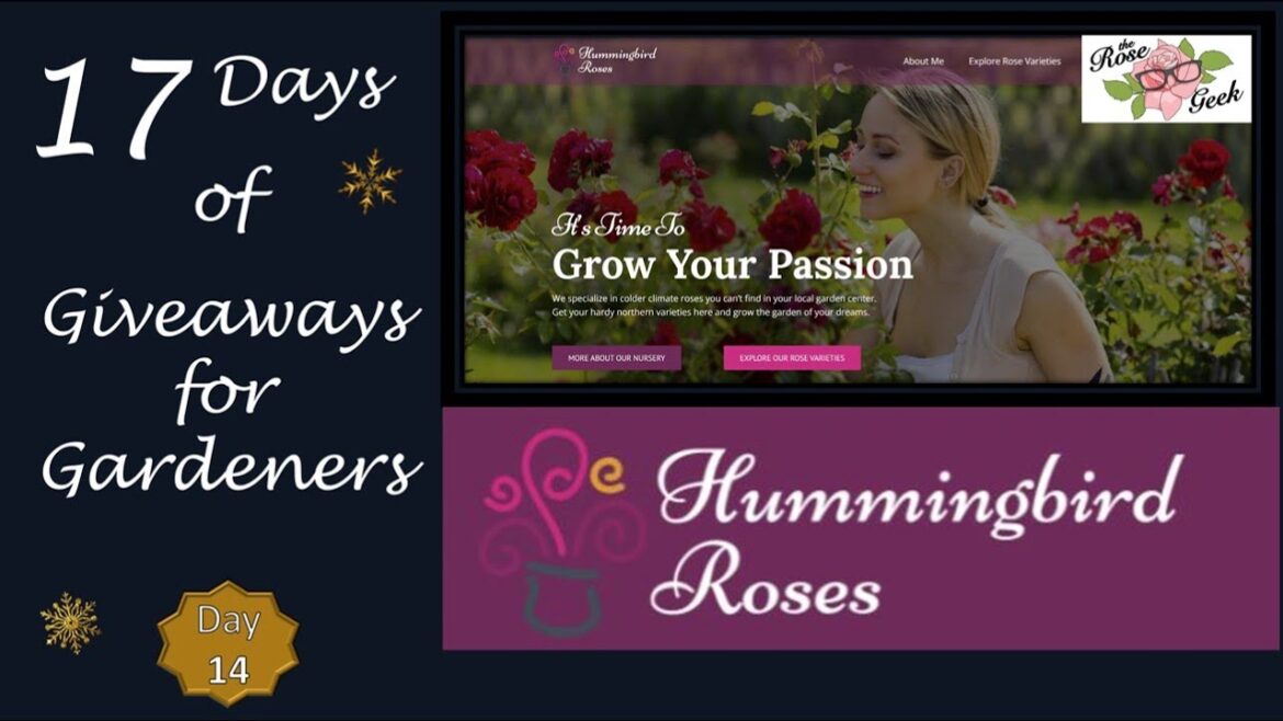 🌹 Hummingbird Roses Small Biz Spotlight & Giveaway // Day 14 of 17 Gardener Giveaways (Ended)