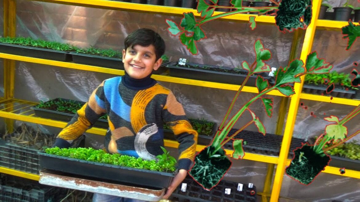 Gardening Tips for Beginners | Gardening Tips | Terrace Gardening Tips | Home Gardening Tips