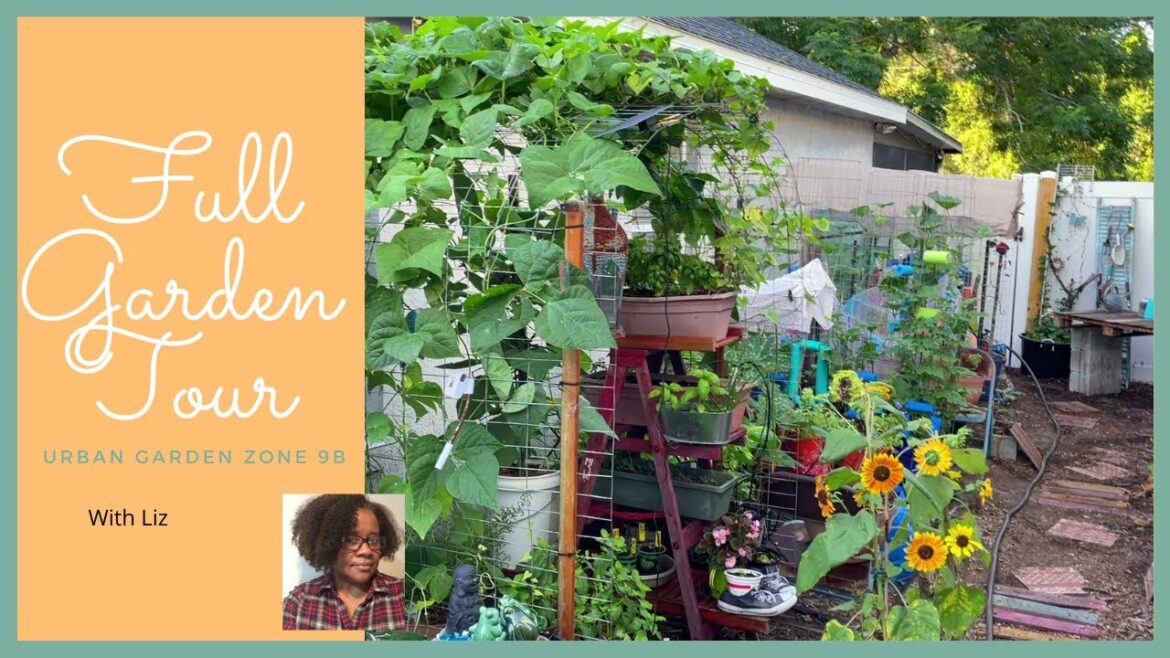 Zone 9b Urban Florida Small Space Garden Weekly Container Garden Tour Update June 12