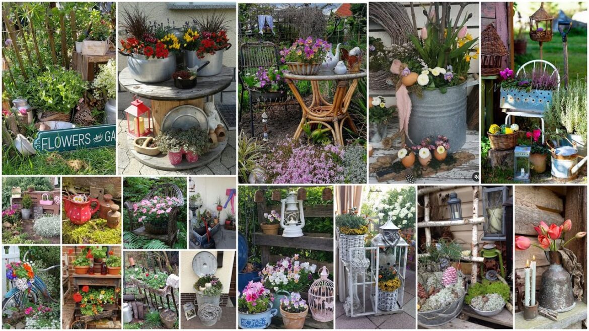 500 Latest Rustic Garden Ideas 2024! Vintage Garden Ideas 500 Latest Rustic Garden Ideas 2024! Vintage Garden Ideas